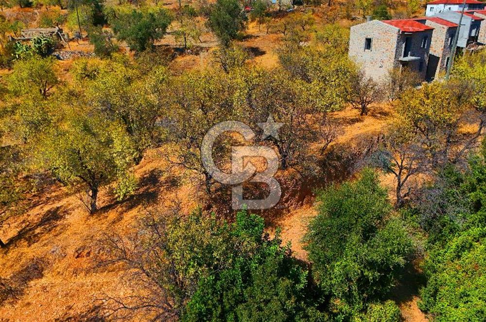 Datça Yaka'da 1.466 m² İmarlı Arsa
