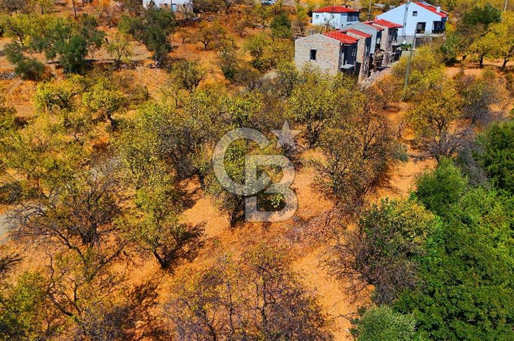 Datça Yaka'da 1.466 m² İmarlı Arsa