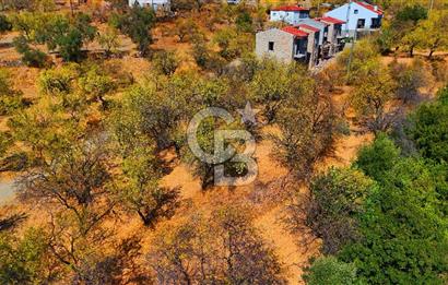 Datça Yaka'da 1.466 m² İmarlı Arsa