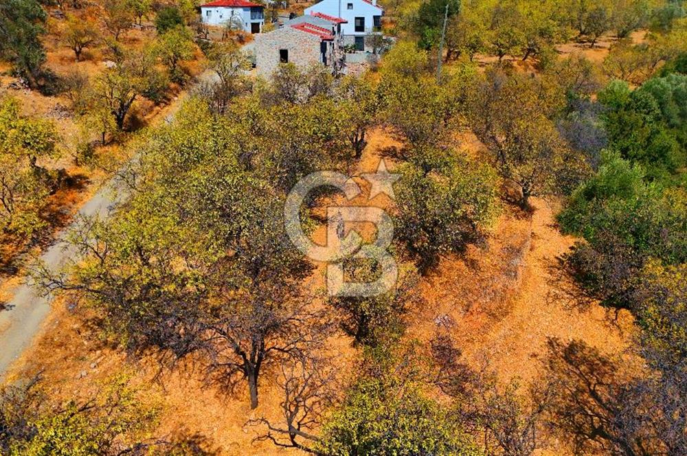 Datça Yaka'da 1.466 m² İmarlı Arsa