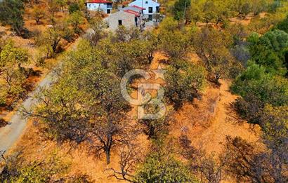 Datça Yaka'da 1.466 m² İmarlı Arsa