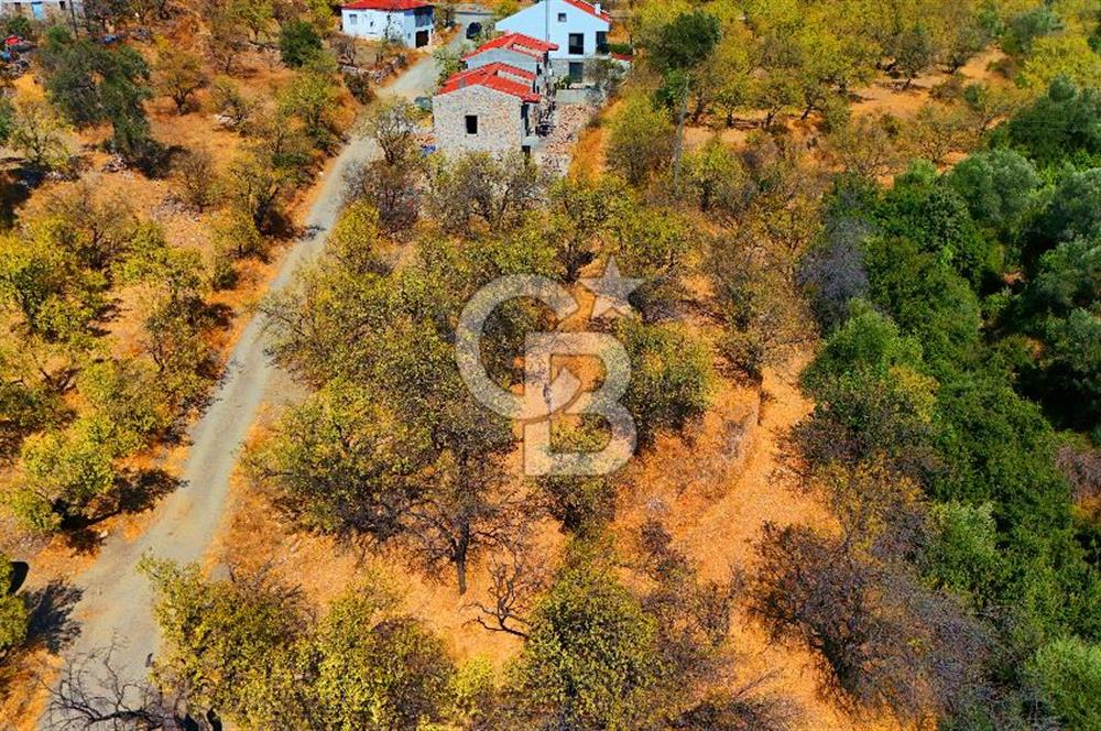 Datça Yaka'da 1.466 m² İmarlı Arsa