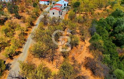 Datça Yaka'da 1.466 m² İmarlı Arsa