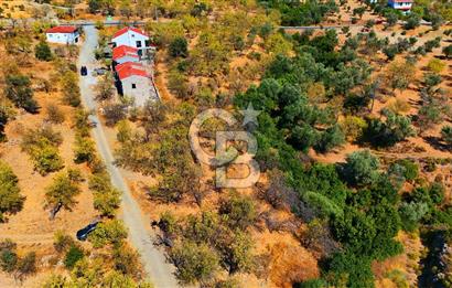 Datça Yaka'da 1.466 m² İmarlı Arsa