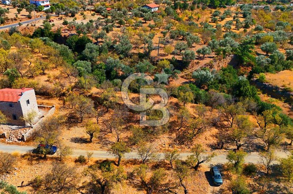 Datça Yaka'da 1.466 m² İmarlı Arsa