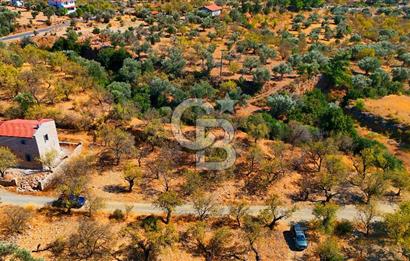 Datça Yaka'da 1.466 m² İmarlı Arsa