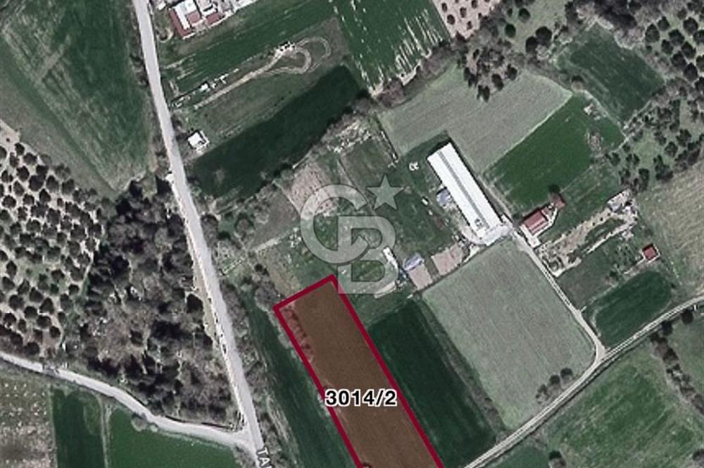 İzmir Aliağa'da Satılık 5154 m² Tarla