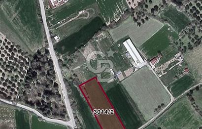 İzmir Aliağa'da Satılık 5154 m² Tarla