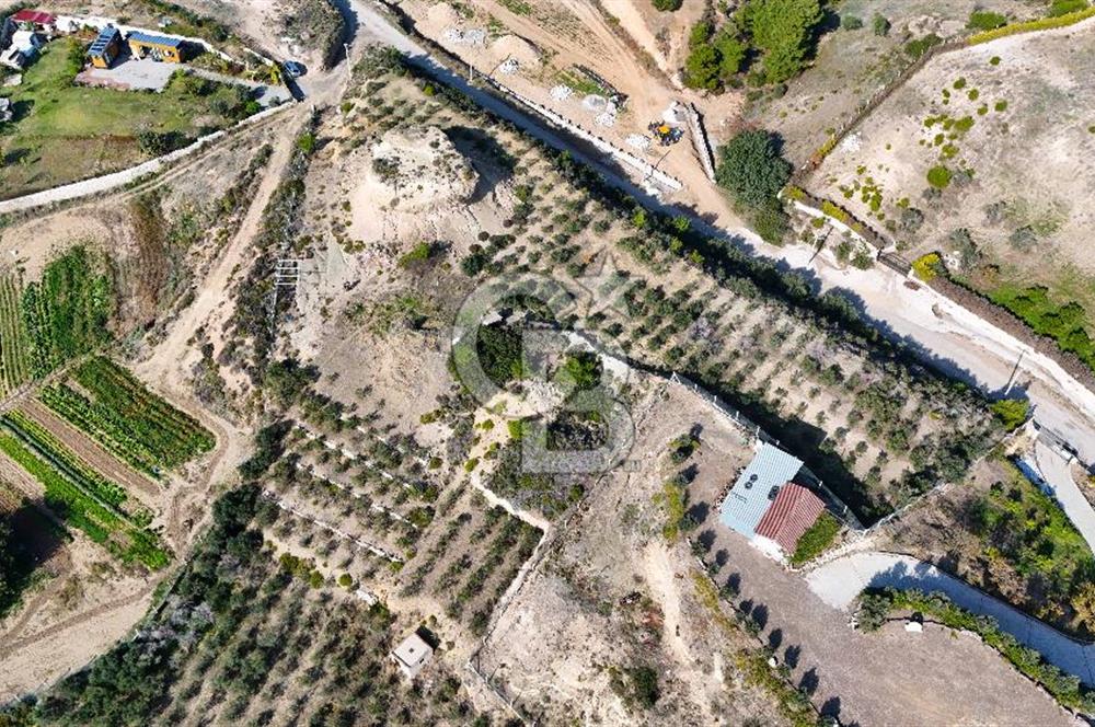 DATÇA KIZLAN'DA DOĞA VE DENİZ MANZARALI 17.528 m2 SATILIK TARLA