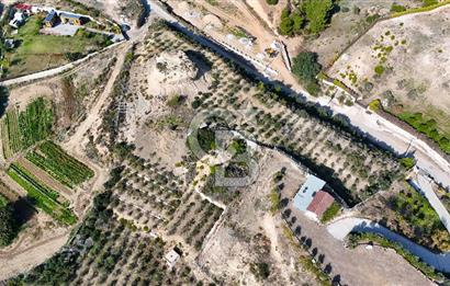 DATÇA KIZLAN'DA DOĞA VE DENİZ MANZARALI 17.528 m2 SATILIK TARLA