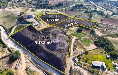 DATÇA KIZLAN'DA DOĞA VE DENİZ MANZARALI 17.528 m2 SATILIK TARLA
