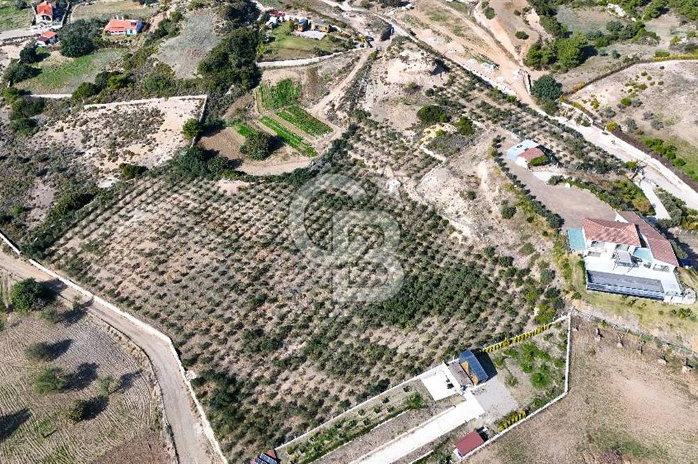 DATÇA KIZLAN'DA DOĞA VE DENİZ MANZARALI 17.528 m2 SATILIK TARLA