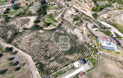 DATÇA KIZLAN'DA DOĞA VE DENİZ MANZARALI 17.528 m2 SATILIK TARLA