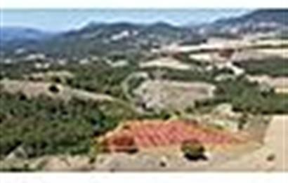 YATIRIMLIK FIRSAT! SAKARYA GEYVE ÇAMLIK MAHALLESİNDE 10.871 m²