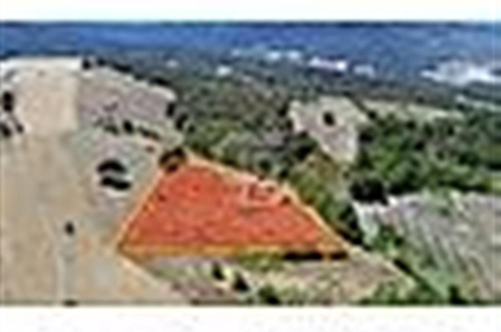 YATIRIMLIK FIRSAT! SAKARYA GEYVE ÇAMLIK MAHALLESİNDE 10.871 m²