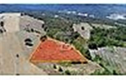 YATIRIMLIK FIRSAT! SAKARYA GEYVE ÇAMLIK MAHALLESİNDE 10.871 m²
