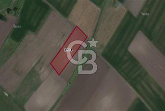 CB BLACK'TAN KARACABEY HARMANLI'DA SATILIK TARLA