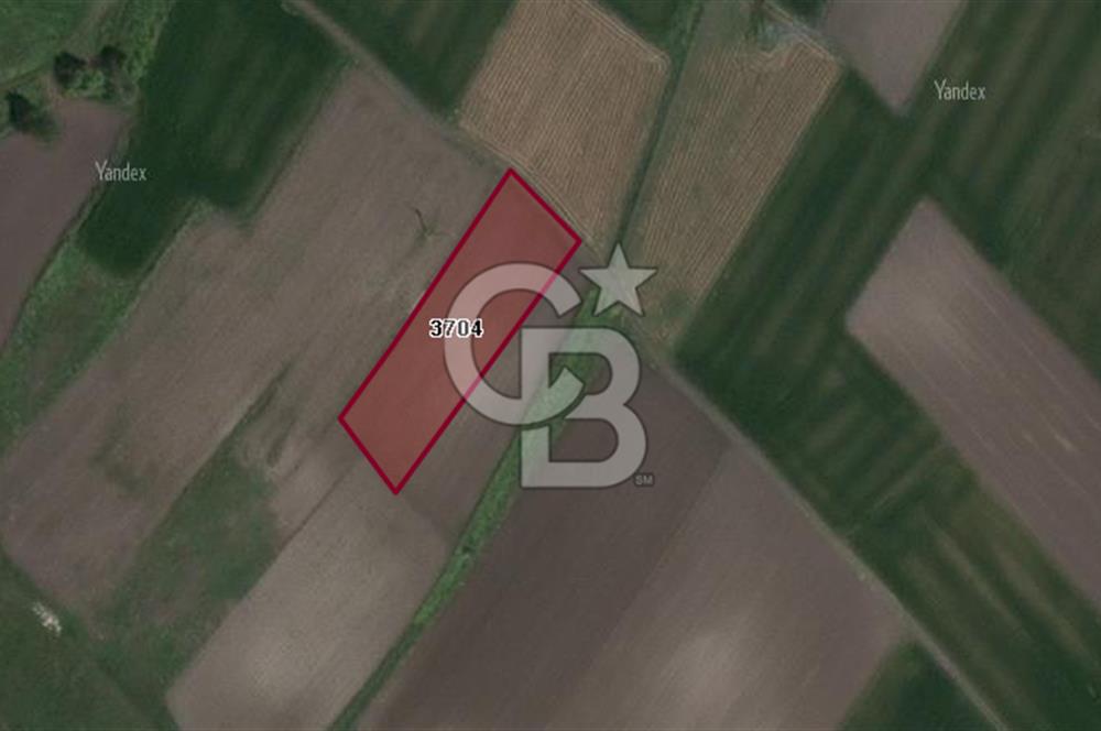 CB BLACK'TAN KARACABEY HARMANLI'DA SATILIK TARLA