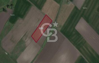 CB BLACK'TAN KARACABEY HARMANLI'DA SATILIK TARLA