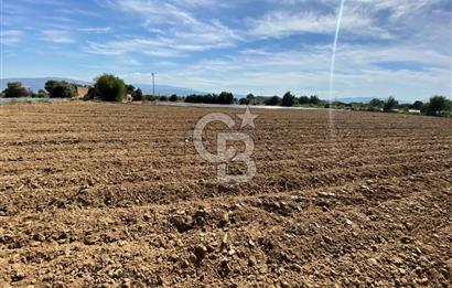 AYDIN SULTANHİSAR 25.220m2 İMAR İÇİNDE SATILIK PORTAKAL BAHÇESİ
