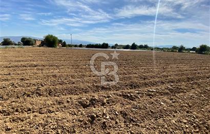 AYDIN SULTANHİSAR 25.220m2 İMAR İÇİNDE SATILIK PORTAKAL BAHÇESİ