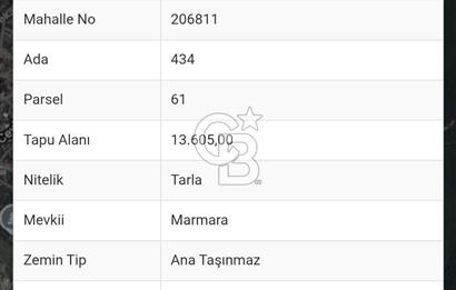 ÇATALCA BİNKILIÇ FATİH MAH.247 M2 TARLA