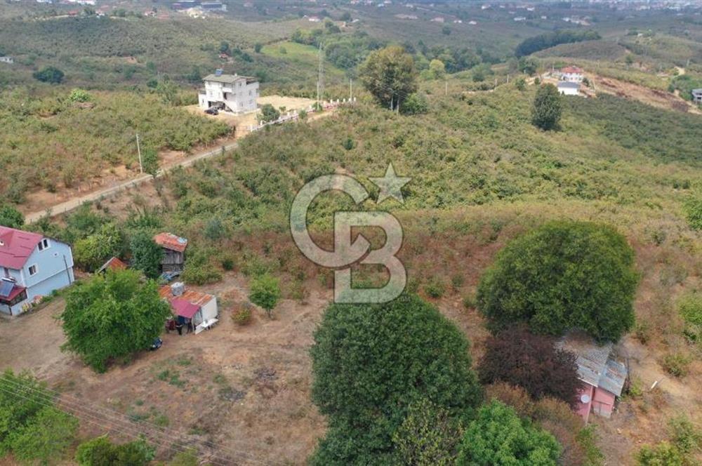 CB AKADEMİ'DEN DENİZ VE DOĞA MANZARALI MUHTEŞEM KONUM ARSA