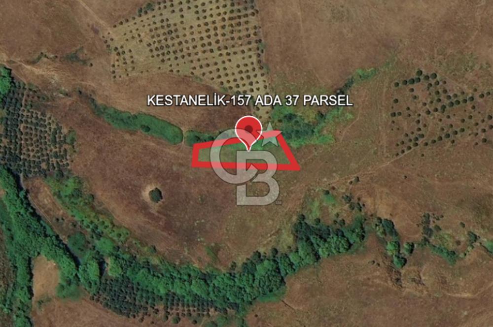 BALIKESİR-ERDEK-KESTANELİK'DE 1.960m2 TEK TAPU SATILIK TARLA