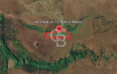 BALIKESİR-ERDEK-KESTANELİK'DE 1.960m2 TEK TAPU SATILIK TARLA