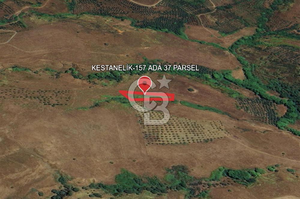 BALIKESİR-ERDEK-KESTANELİK'DE 1.960m2 TEK TAPU SATILIK TARLA