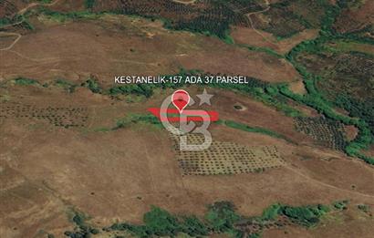 BALIKESİR-ERDEK-KESTANELİK'DE 1.960m2 TEK TAPU SATILIK TARLA