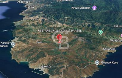 BALIKESİR-ERDEK-KESTANELİK'DE 1.960m2 TEK TAPU SATILIK TARLA
