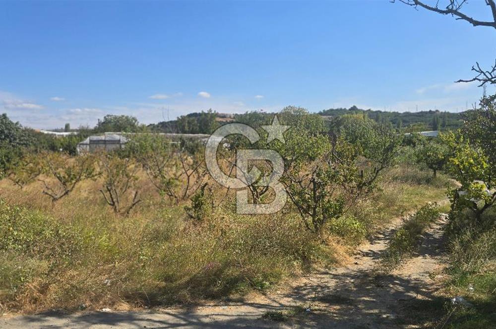 LAPSEKİ GAZİSÜLEYMANPAŞA MAHALLESİNDE  İMARA YAKIN SATILIK ARAZİ