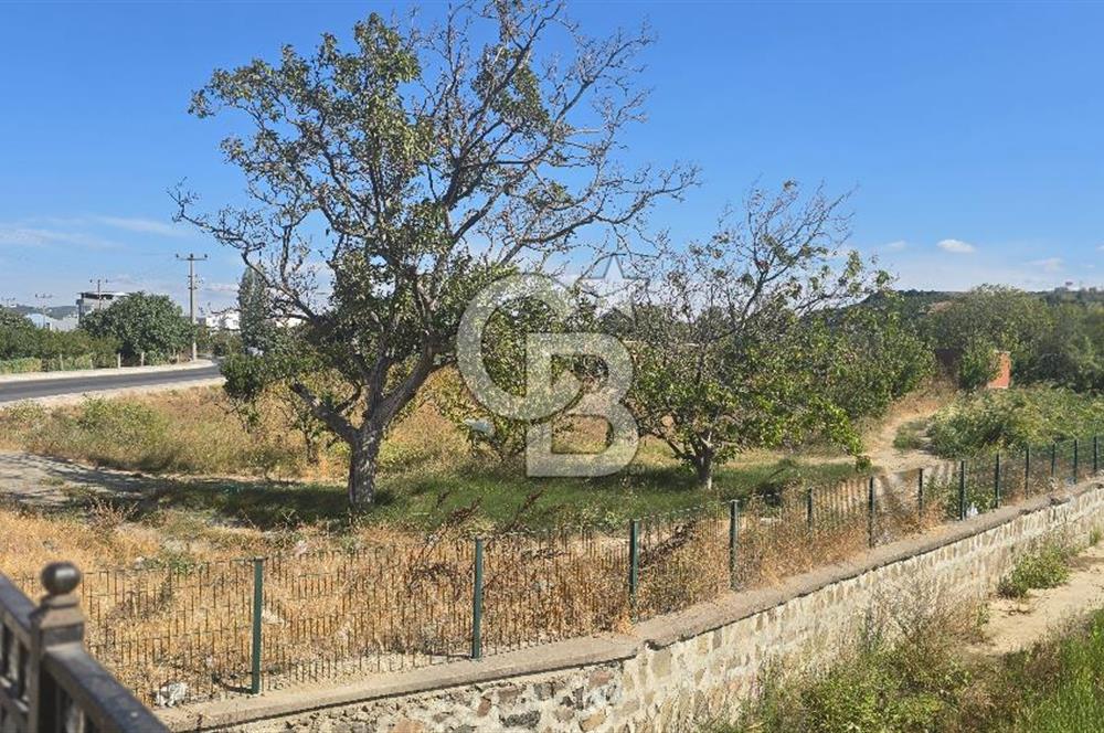 LAPSEKİ GAZİSÜLEYMANPAŞA MAHALLESİNDE  İMARA YAKIN SATILIK ARAZİ