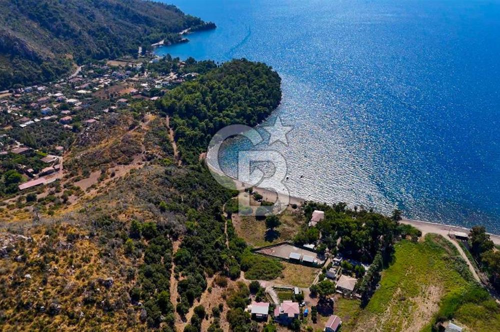 CB MARİNA'DAN DÜZ ZEMİN 4180M2 DENİZE SIFIR FIRSAT ARSA