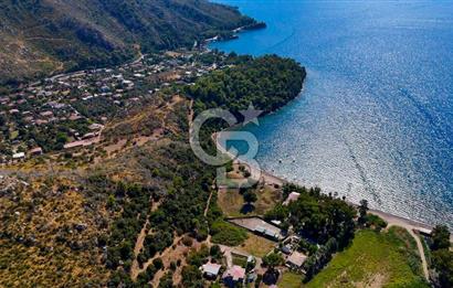 CB MARİNA'DAN DÜZ ZEMİN 4180M2 DENİZE SIFIR FIRSAT ARSA