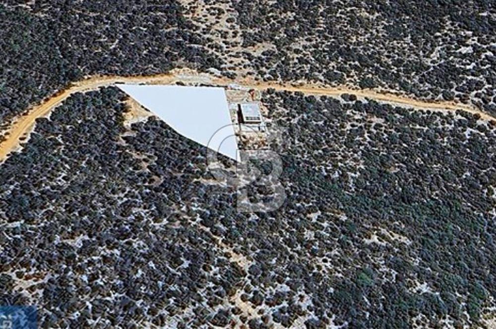 ANTALYA KAŞ'TA 2600 m2 SATILIK TARLA
