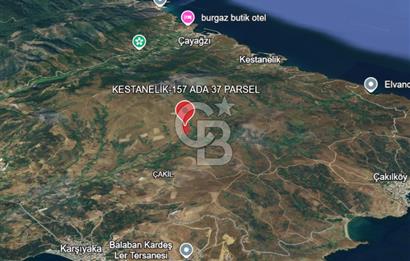 BALIKESİR-ERDEK-KESTANELİK'DE 1.960m2 TEK TAPU SATILIK TARLA