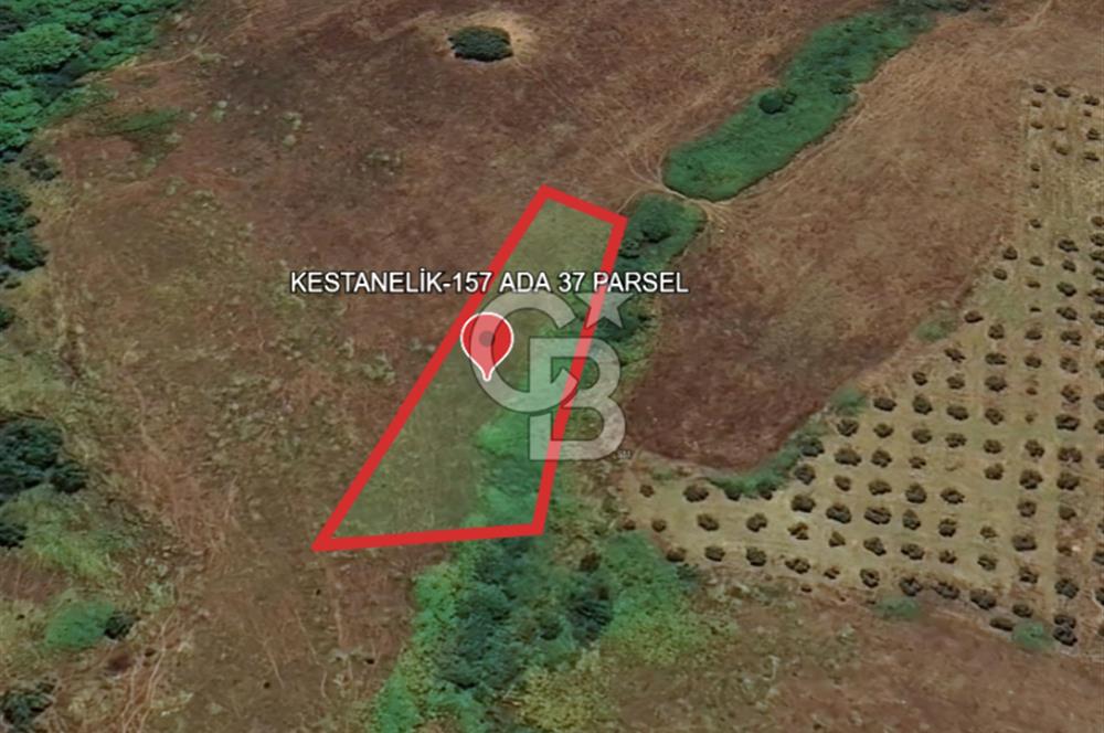BALIKESİR-ERDEK-KESTANELİK'DE 1.960m2 TEK TAPU SATILIK TARLA