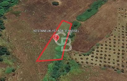 BALIKESİR-ERDEK-KESTANELİK'DE 1.960m2 TEK TAPU SATILIK TARLA