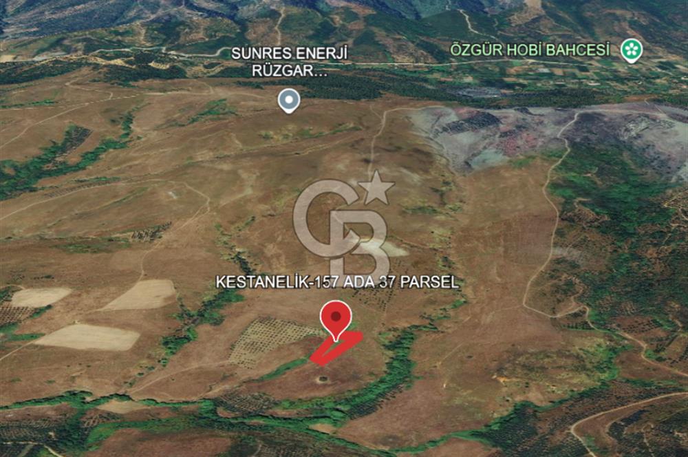 BALIKESİR-ERDEK-KESTANELİK'DE 1.960m2 TEK TAPU SATILIK TARLA