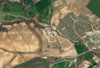 TEKİRDAĞ MALKARA KADIKÖY'DE SATILIK 3600 m2 TARLA