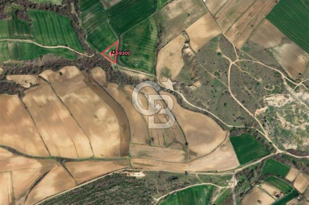 TEKİRDAĞ MALKARA KADIKÖY'DE SATILIK 3600 m2 TARLA