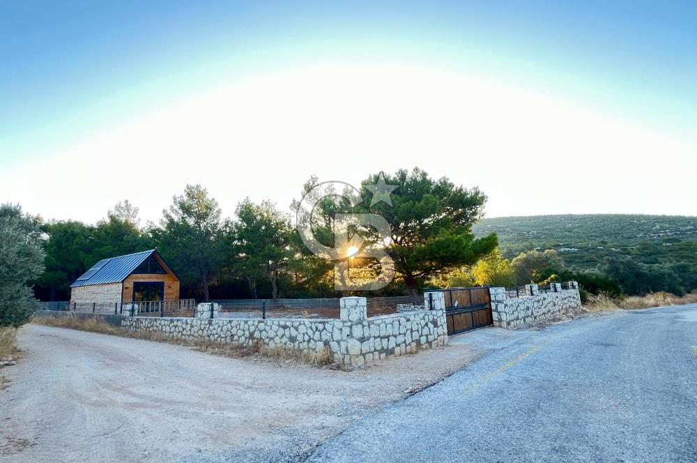 Urla'da 803 Mt2 Tarla İçerisinde Satılık 1+1 Bungalov Ev