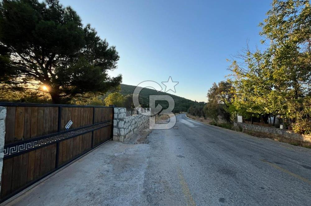 Urla'da 803 Mt2 Tarla İçerisinde Satılık 1+1 Bungalov Ev