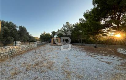 Urla'da 803 Mt2 Tarla İçerisinde Satılık 1+1 Bungalov Ev