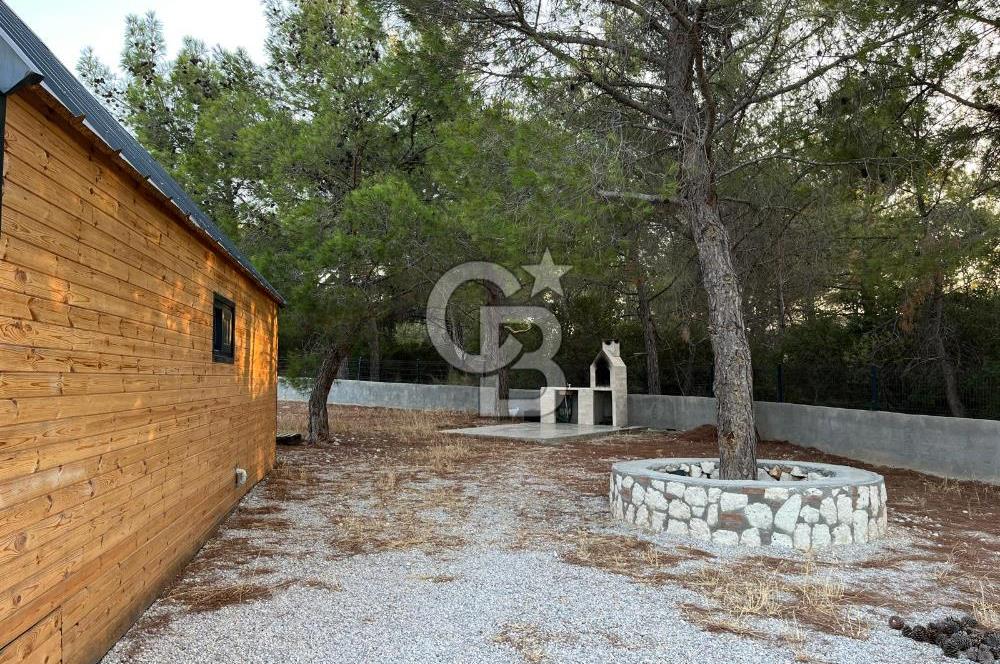 Urla'da 803 Mt2 Tarla İçerisinde Satılık 1+1 Bungalov Ev