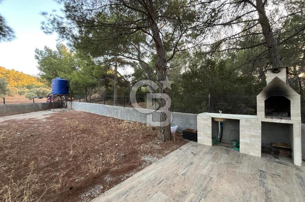 Urla'da 803 Mt2 Tarla İçerisinde Satılık 1+1 Bungalov Ev
