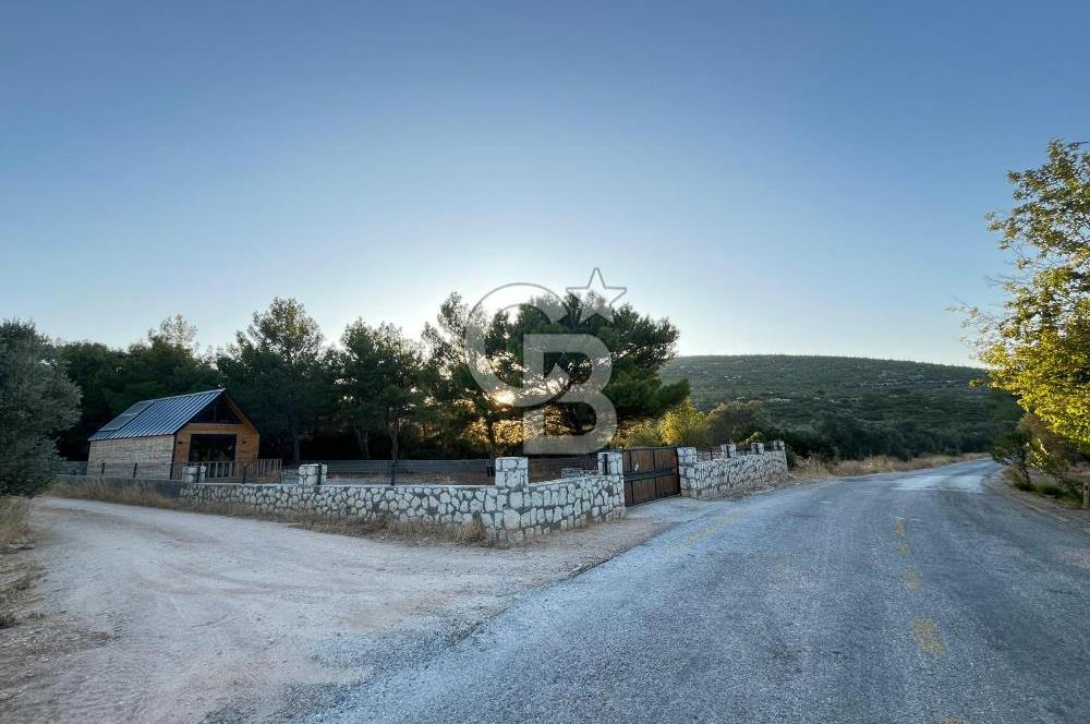 Urla'da 803 Mt2 Tarla İçerisinde Satılık 1+1 Bungalov Ev