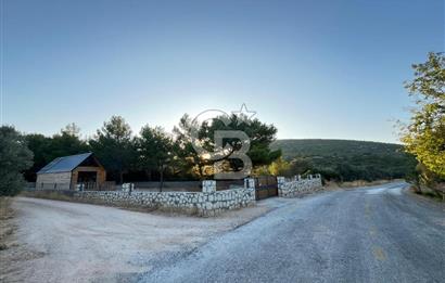 Urla'da 803 Mt2 Tarla İçerisinde Satılık 1+1 Bungalov Ev